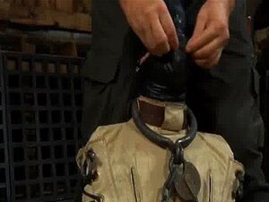 Schwanz-Castigation für die Fotze der Schönheit