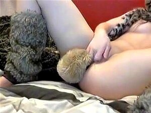 Youthful puppy bate,