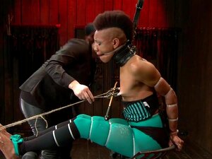 Ebony in geteilter Suspension mit Stockstock (Nyrobi Knight, Claire