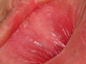 Kostea latina pillu hierotaan lähikuvassa. Kosteat latinat pillu