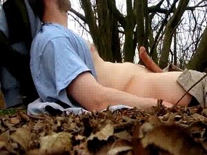 Openbare rukken in het bos