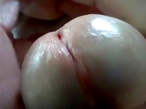 Fülliger Schwanzkopf Nahaufnahme, Hier ist eine Nahaufnahme von mir,