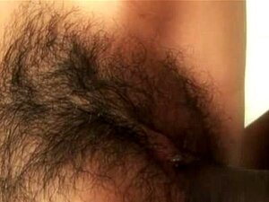 Monica Austin - Interracial Sex mit haariger Latina-Muschi