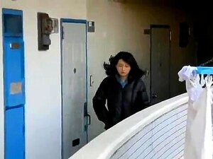Blowjob Japansk Asiatisk Sex Porno Knulling Fitte