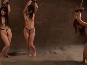 Erstaunliches Sexvideo, asiatisch großartig jemals gesehen