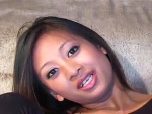 Beste Pferdesex Sexvideos und Pornofilme - Freieporno.com