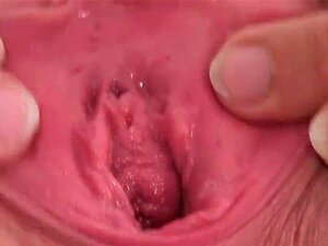 Schlampige tschechische Kätzchen spreizt ihre saftige Vulva bis zum