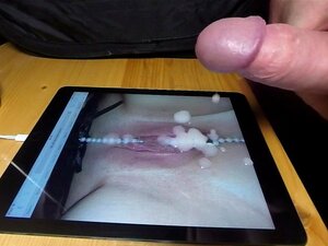 cum vaimoni kunnianosoitus vaimoni