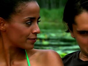 2014 hat die Europäische Kommission einen Bericht über die Umsetzung